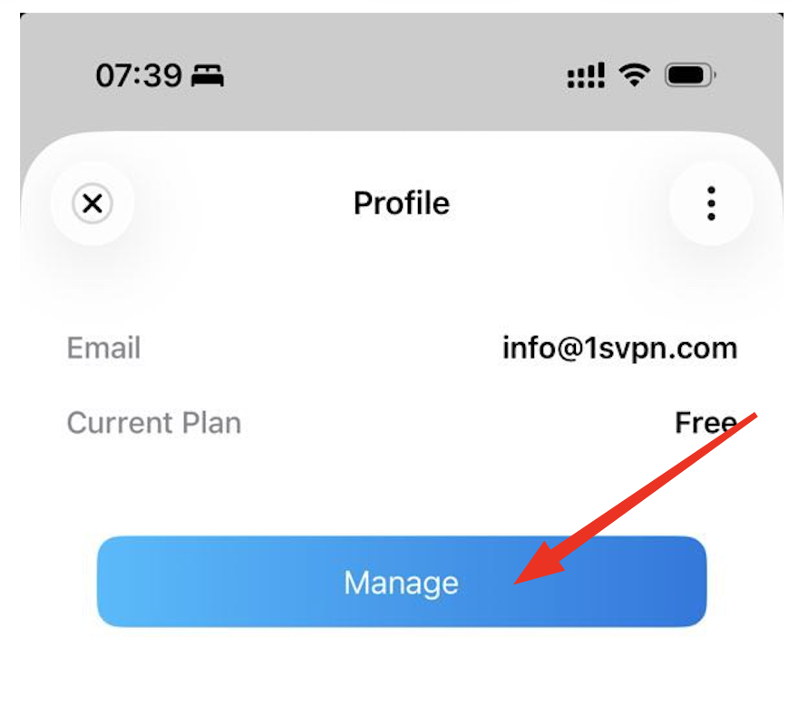 1S VPN user dashboard
